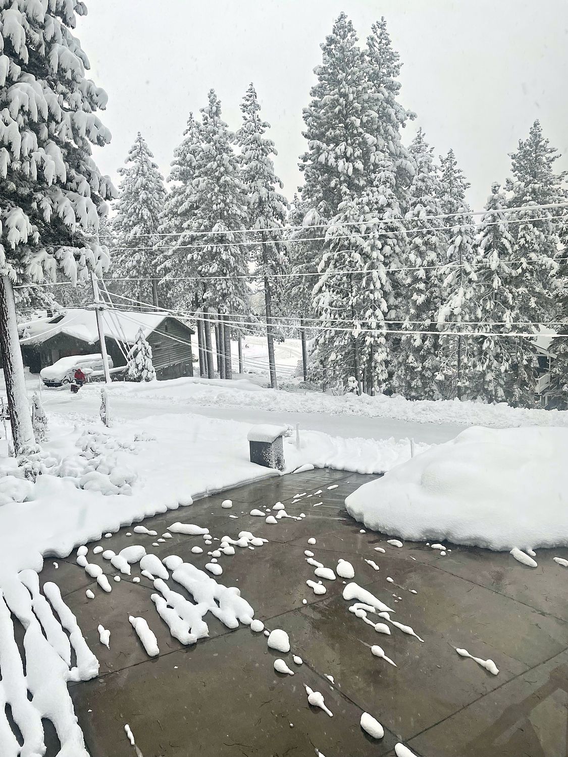 The heated driveway at Kinpine House clear of snow while deep drifts sit either side